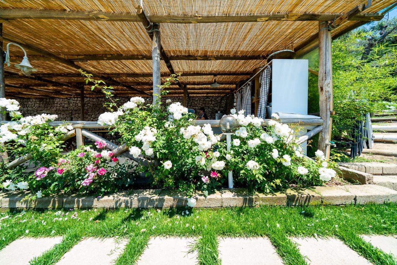 Villa Lorelei Massa Lubrense Ngoại thất bức ảnh
