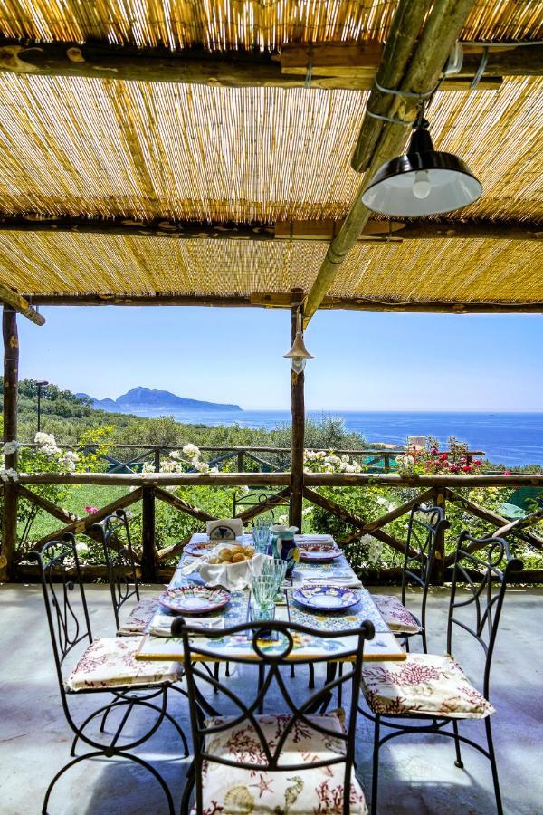 Villa Lorelei Massa Lubrense Ngoại thất bức ảnh