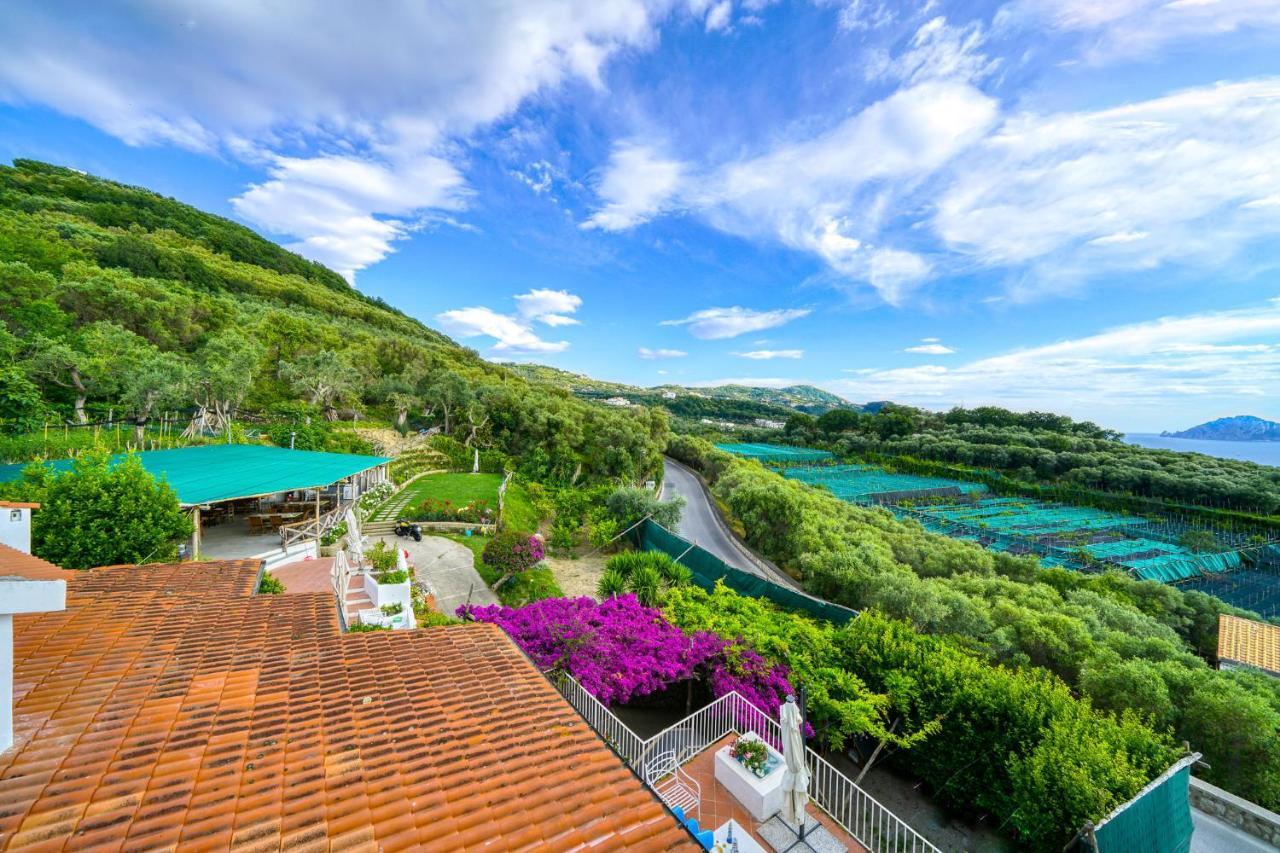 Villa Lorelei Massa Lubrense Ngoại thất bức ảnh